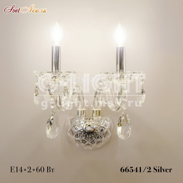 66541/2 Silver 