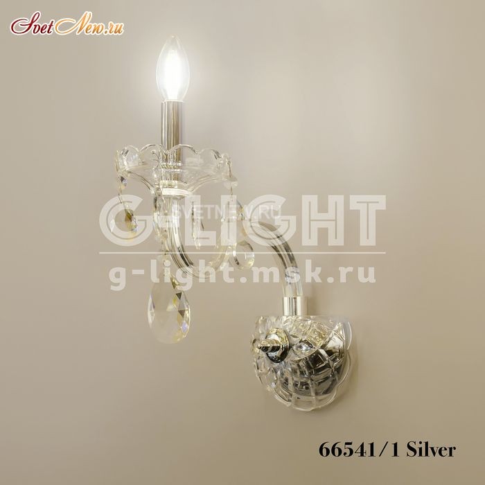 66541/1 Silver 