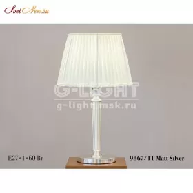 9867/1T  Mat Silver