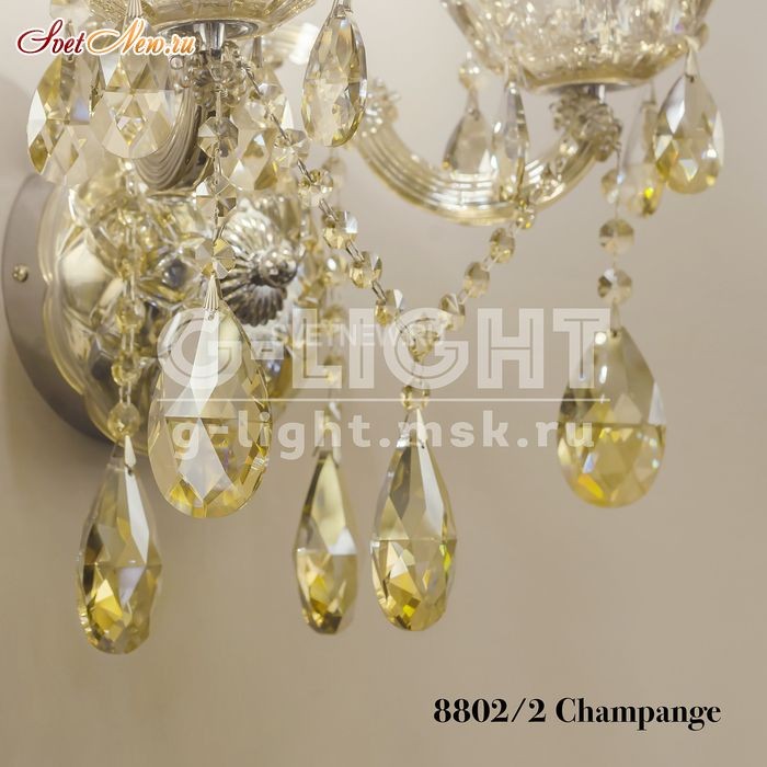 8802/2 Champagne 