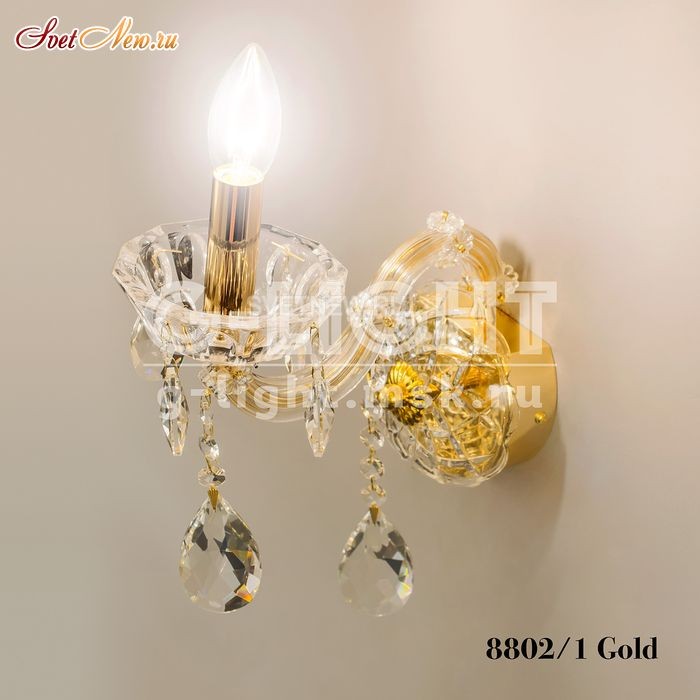 8802/1 Gold 
