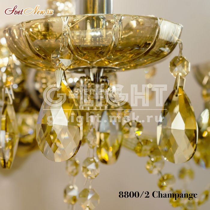 8800/2 Champagne