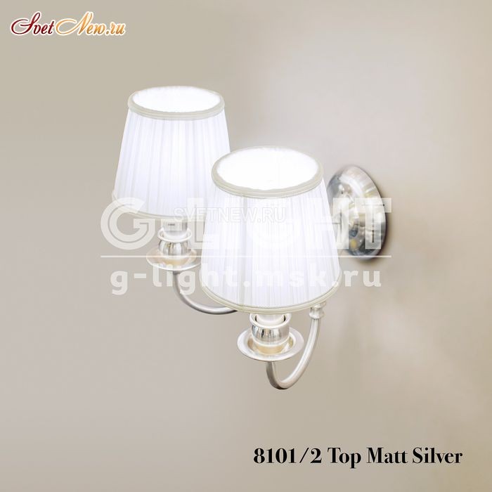 8101/2 Top Matt Silver