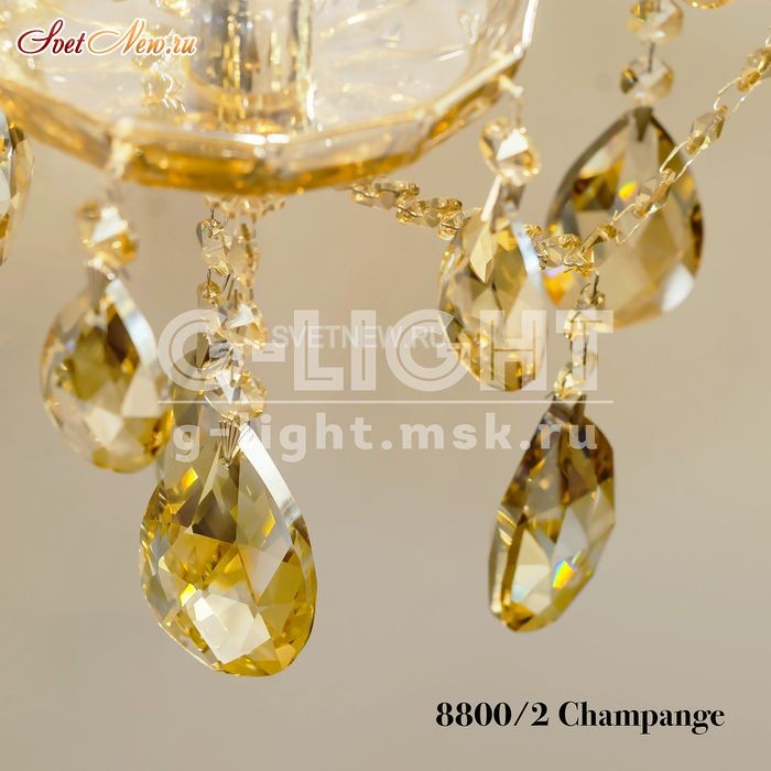 8800/2 Champagne