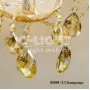 8800/2 Champagne