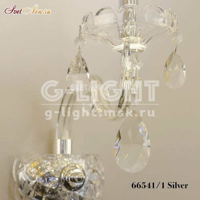 66541/1 Silver 