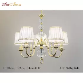 8101/5 Big Gold