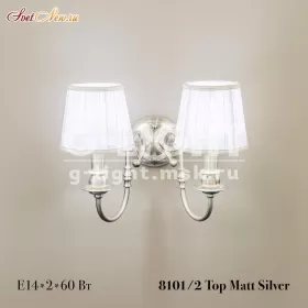 8101/2 Top Matt Silver