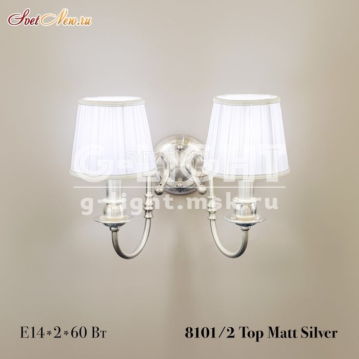 8101/2 Top Matt Silver