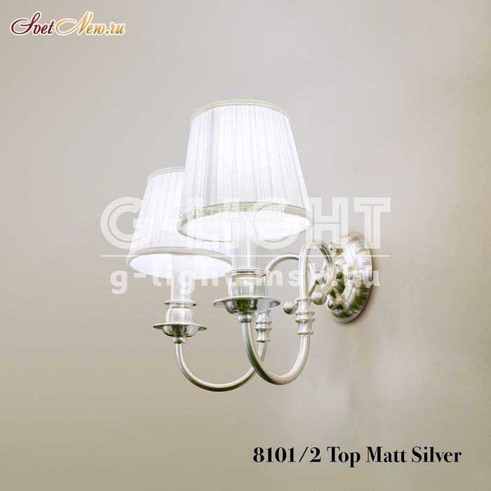 8101/2 Top Matt Silver