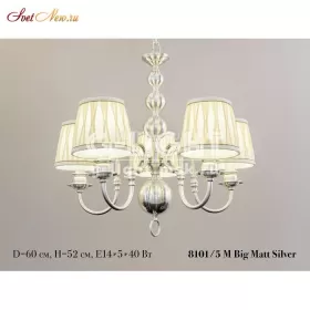 8101/5 M Big Mat Silver 
