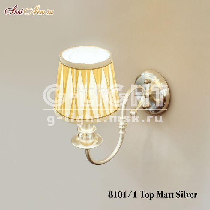 8101/1 Top Matt Silver