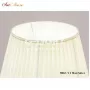 9867/1T  Mat Silver