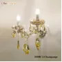 8800/2 Champagne