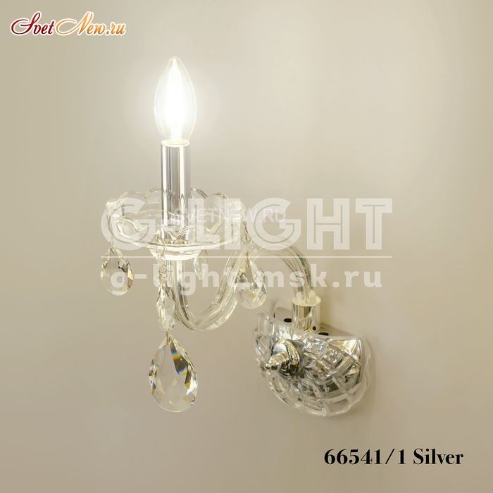 66541/1 Silver 