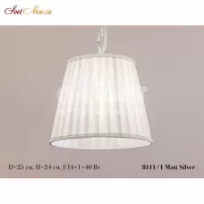 8111/1 Mat Silver