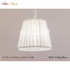 8111/1 Mat Silver