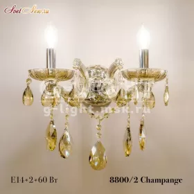 8800/2 Champagne