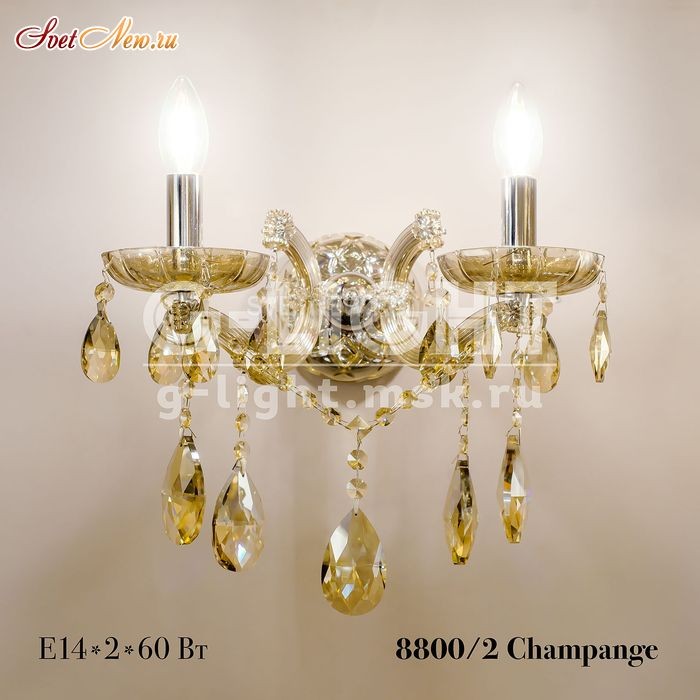 8800/2 Champagne