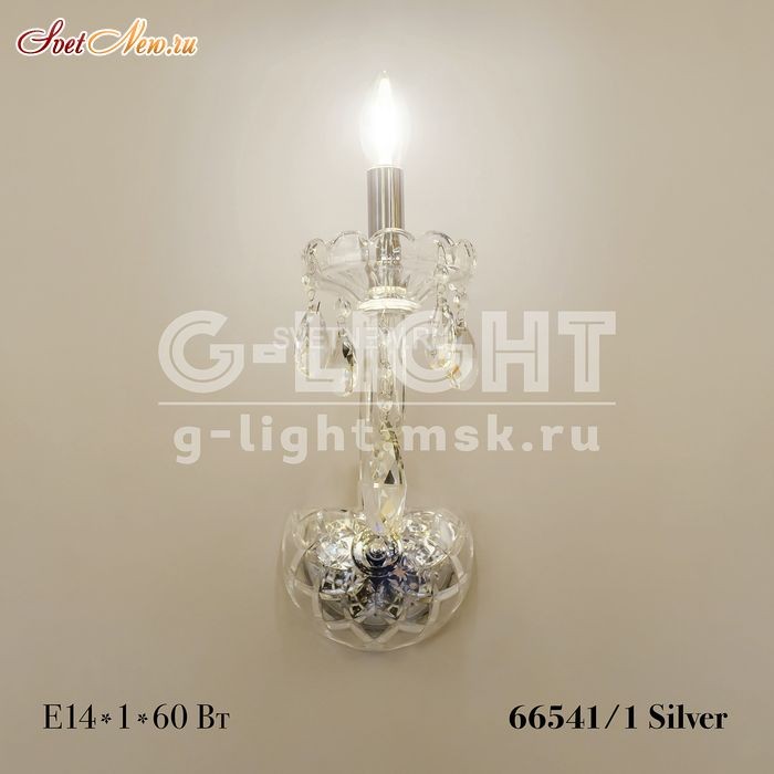 66541/1 Silver 