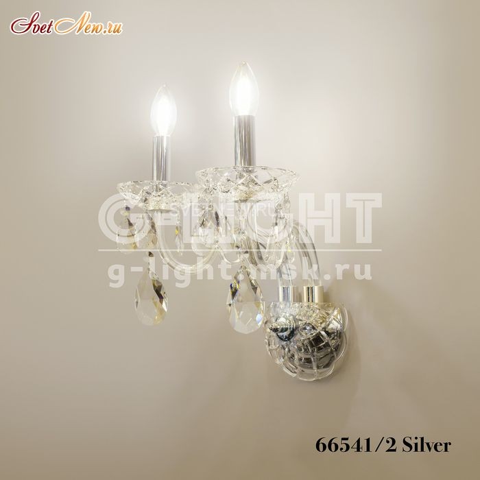 66541/2 Silver 
