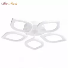 A2531PL-5WH