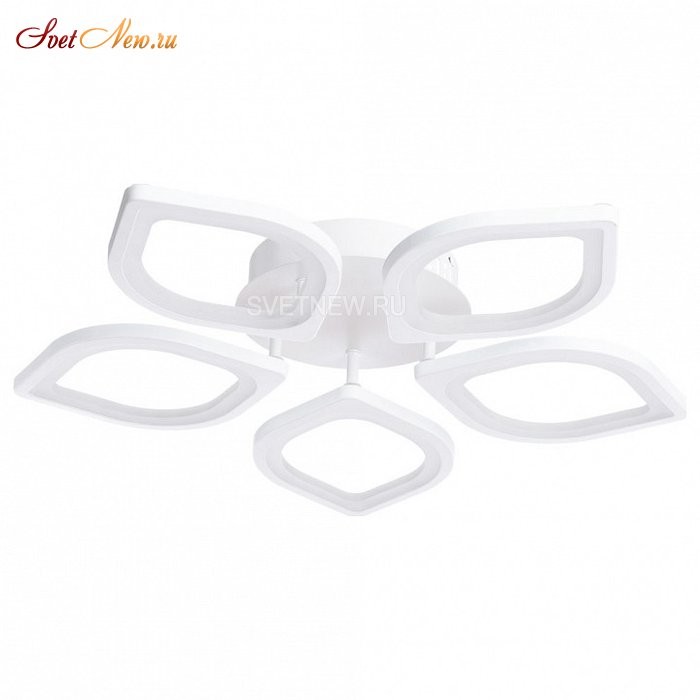A2531PL-5WH
