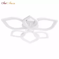 A2531PL-6WH