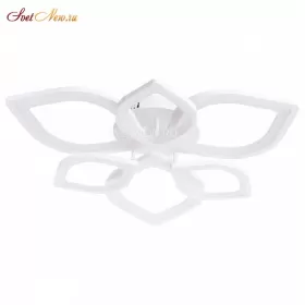A2531PL-6WH