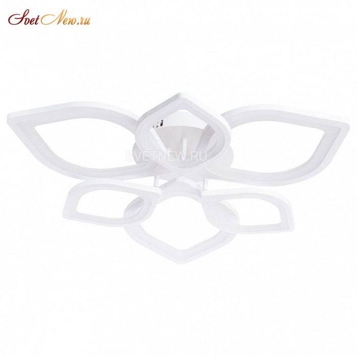 A2531PL-6WH