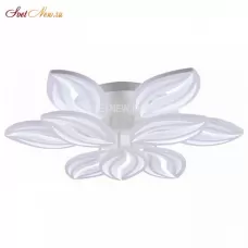 FR6013CL-L157W