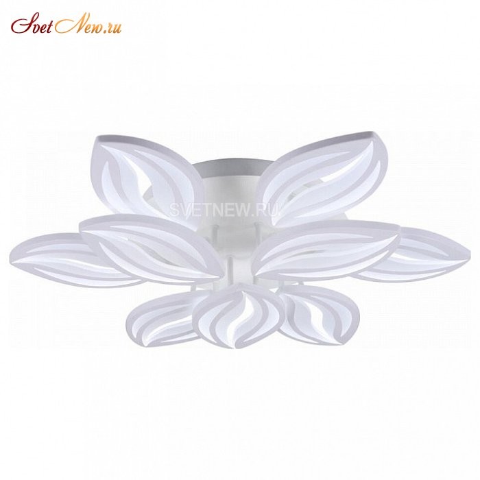 FR6013CL-L157W