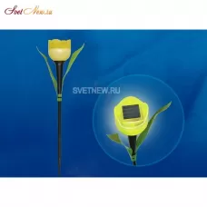 USL-C-452/PT305 YELLOW TULIP