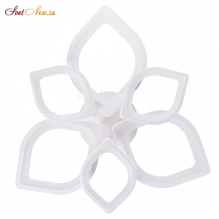 A2531PL-6WH