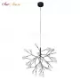 EVITA SP36 BLACK/TRANSPARENT