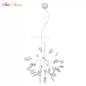 EVITA SP36 WHITE/TRANSPARENT