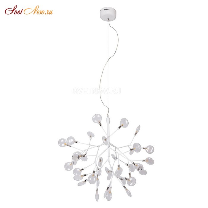EVITA SP36 WHITE/TRANSPARENT