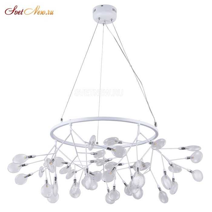 EVITA SP45 D WHITE/TRANSPARENT