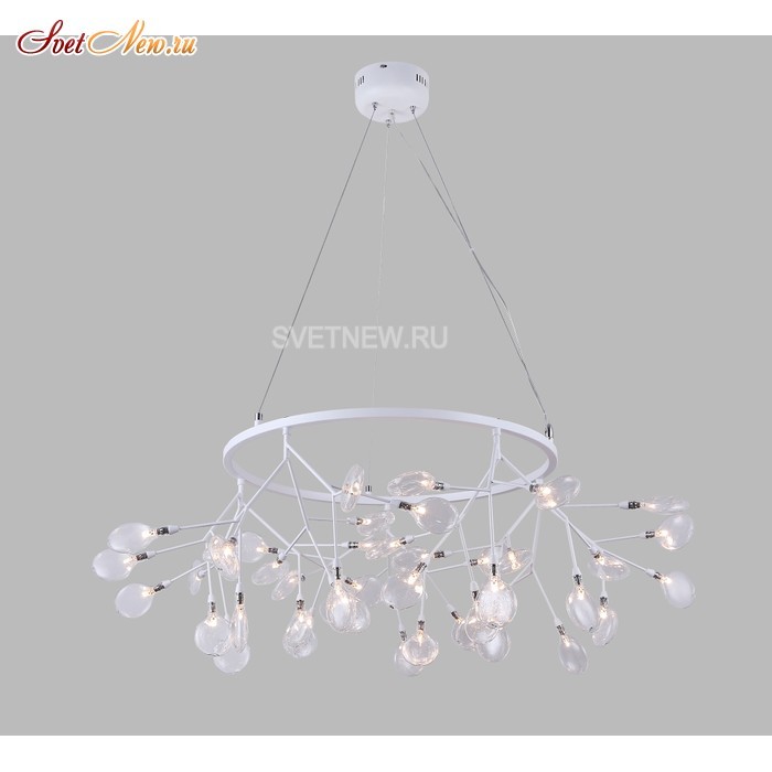 EVITA SP45 D WHITE/TRANSPARENT