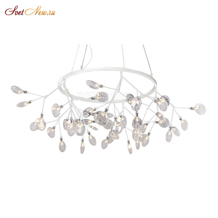EVITA SP45 D WHITE/TRANSPARENT