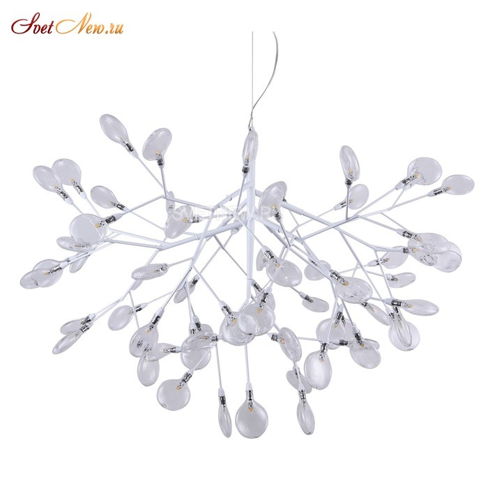 EVITA SP63 WHITE/TRANSPARENT