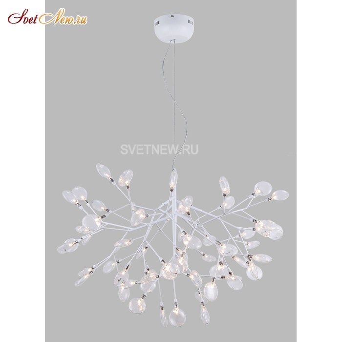 EVITA SP63 WHITE/TRANSPARENT