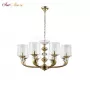 GRACIA SP8 GOLD