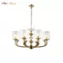 GRACIA SP8 GOLD