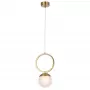 CAROLINA SP1 V1 BRASS
