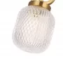 CAROLINA SP1 V2 BRASS