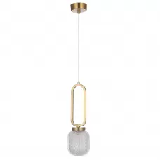 CAROLINA SP1 V2 BRASS