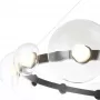 BOSQUE SP12 BLACK/TRANSPARENT