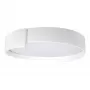 10200 White