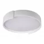 10200 White